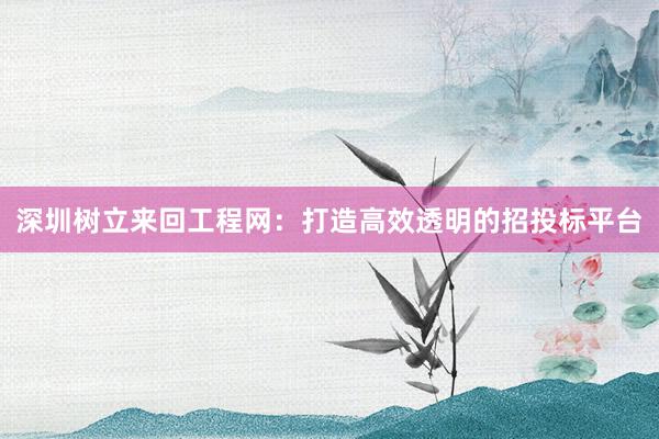 深圳树立来回工程网：打造高效透明的招投标平台