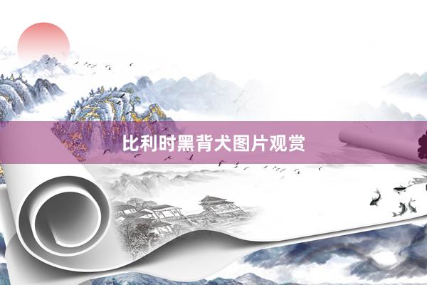 比利时黑背犬图片观赏
